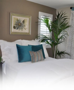 IE-Testimonials-Side-Image-1